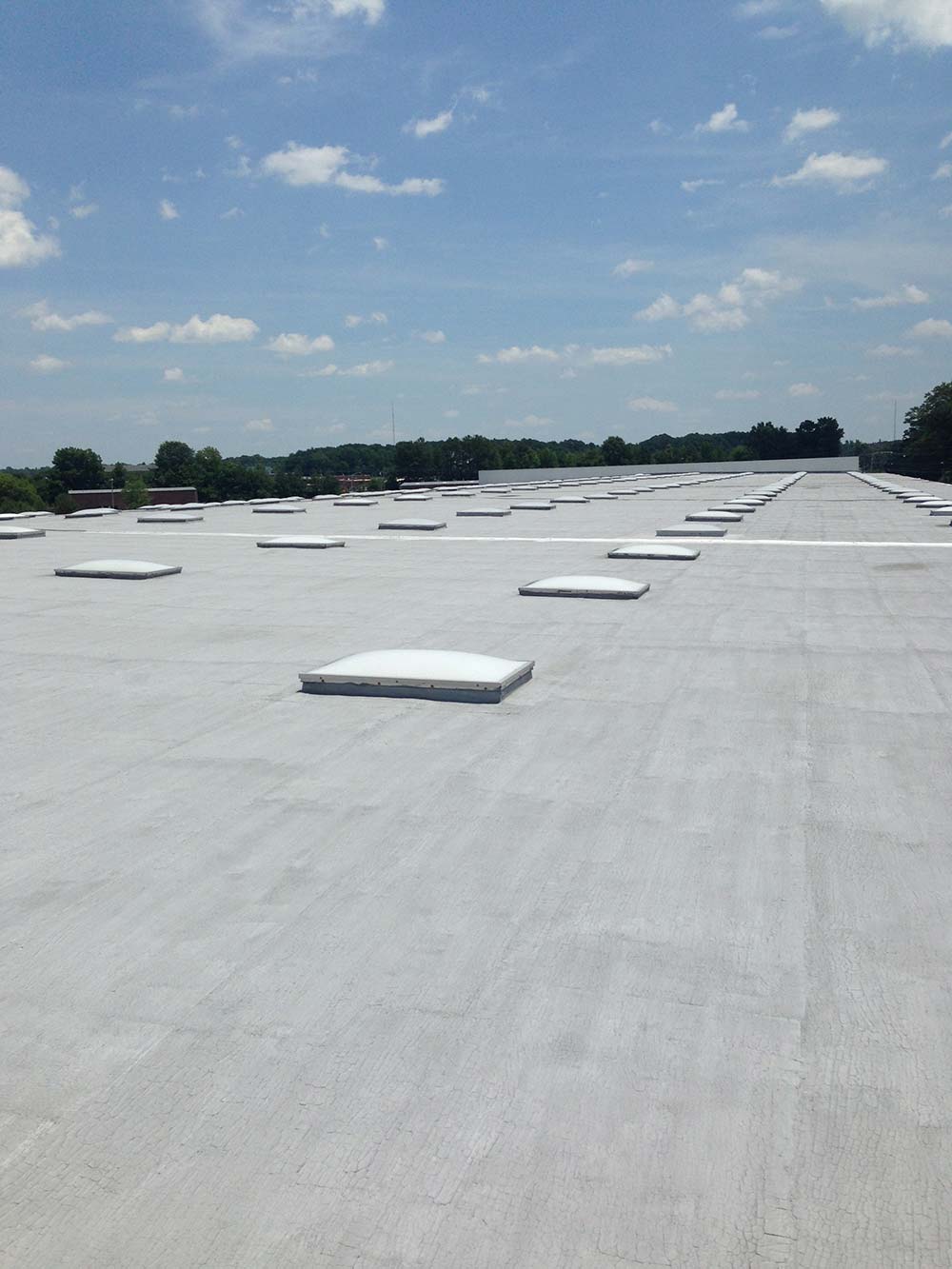flat roof on a commercial building with multiple skylights