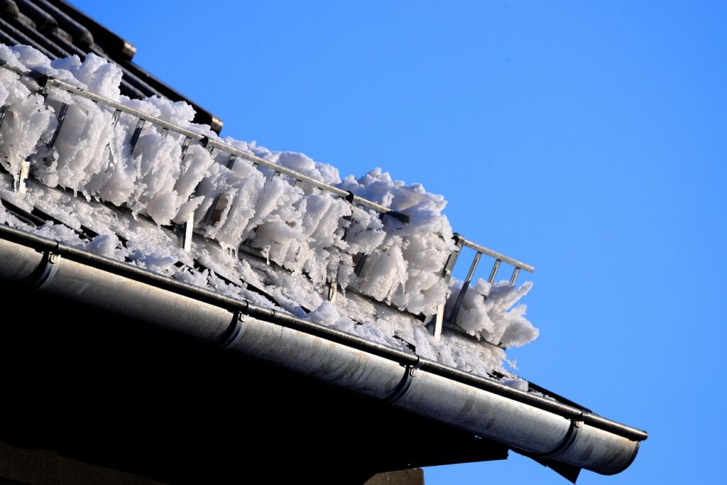 A roof with a snow guard